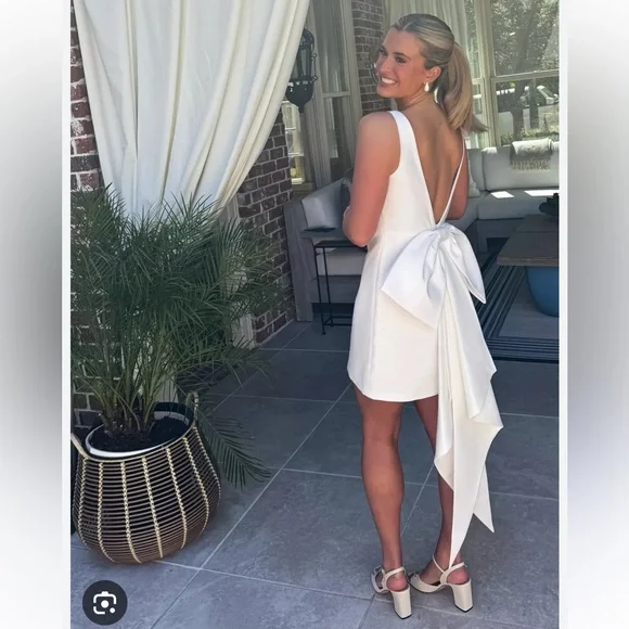 Sachin & Babi Reed Sleeveless Back-Bow Mini Dress - Picture 4 of 10